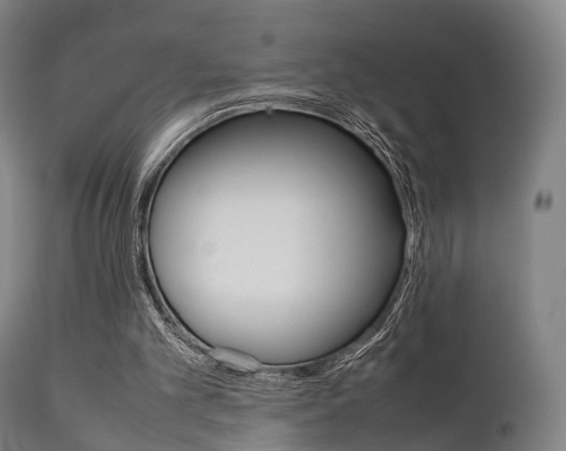 X0000111900101200907271020