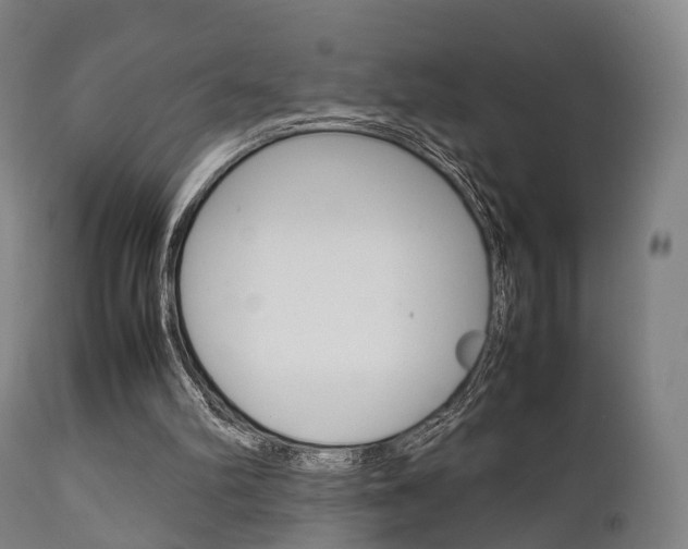 X0000111900102200907271020