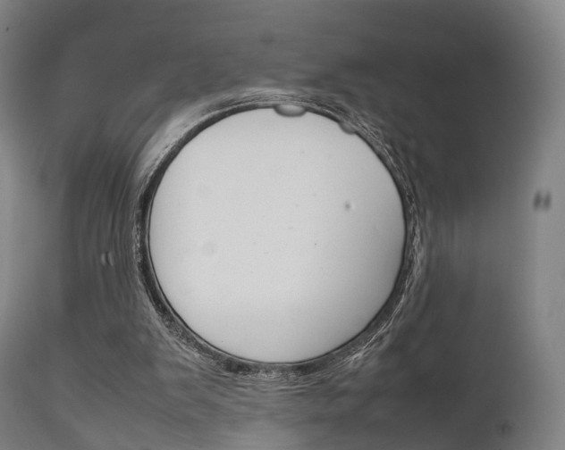 X0000111900103200907271020