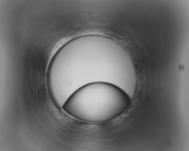 X0000111900104200907271020