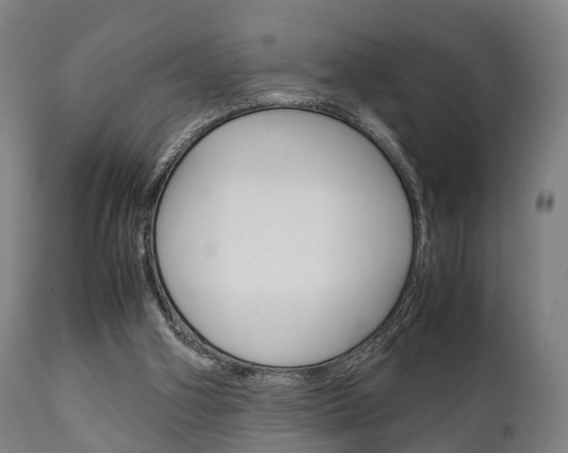 X0000111900106200907271020
