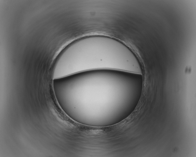 X0000111900108200907271020
