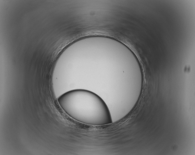 X0000111900109200907271020