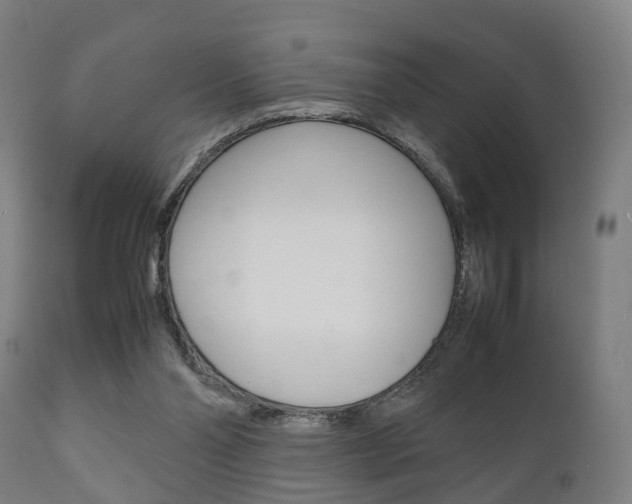 X0000111900110200907271020