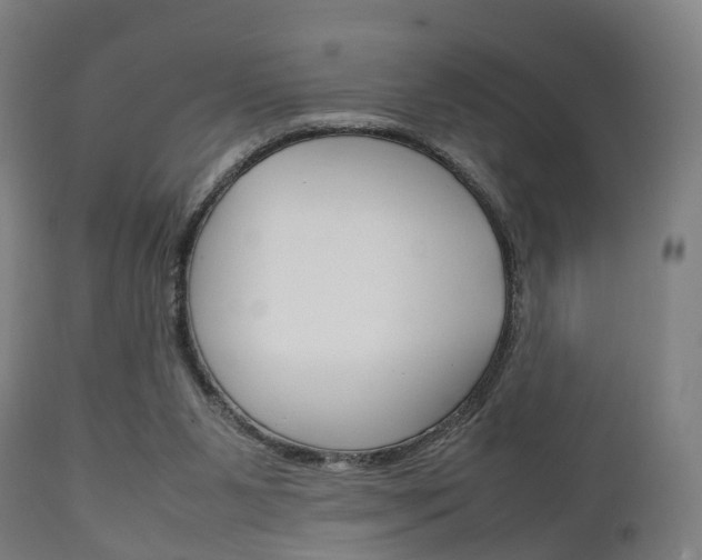 X0000111900111200907271020