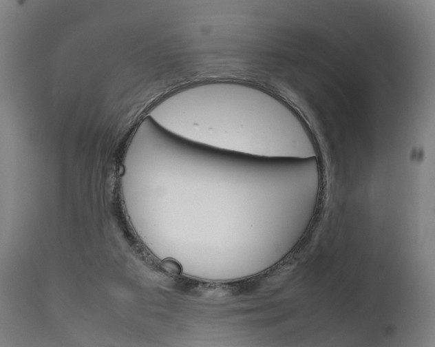 X0000111900113200907271020