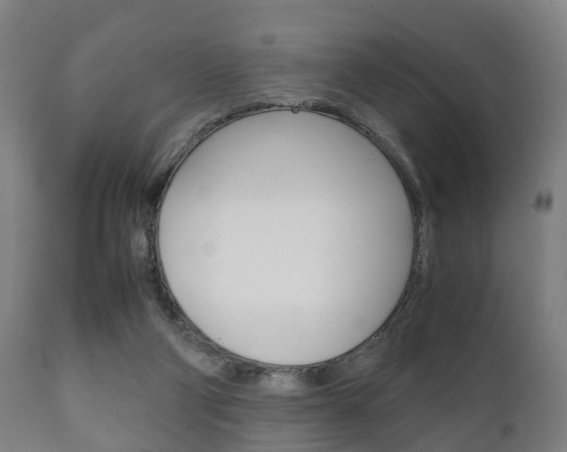 X0000111900114200907271020