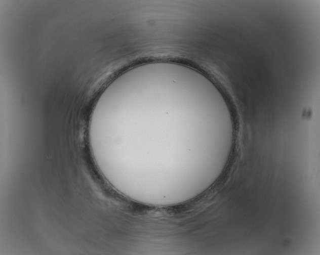 X0000111900115200907271020