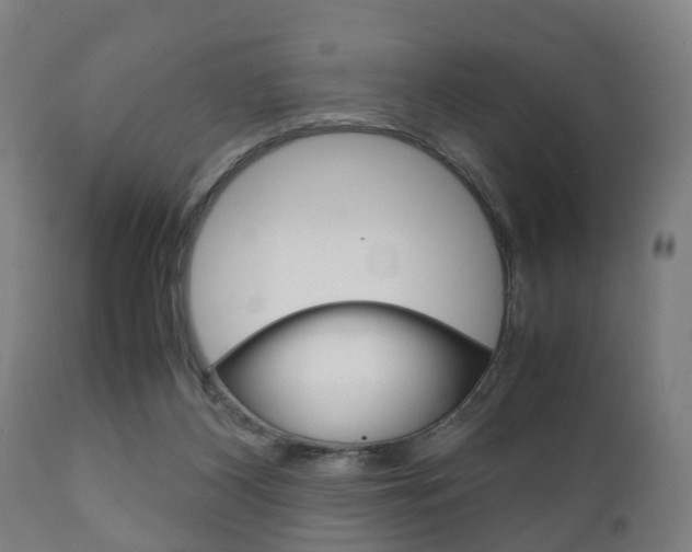 X0000111900116200907271020