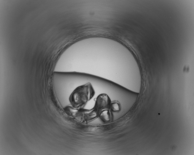 X0000111900117200907271020