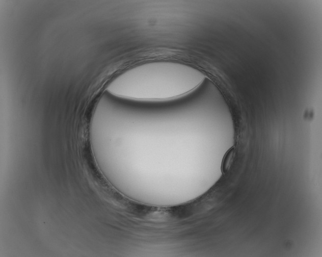 X0000111900119200907271020