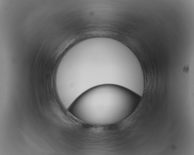X0000111900120200907271020