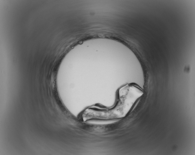 X0000111900121200907271020