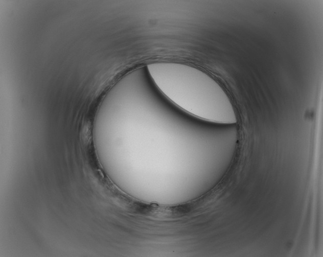X0000111900123200907271020