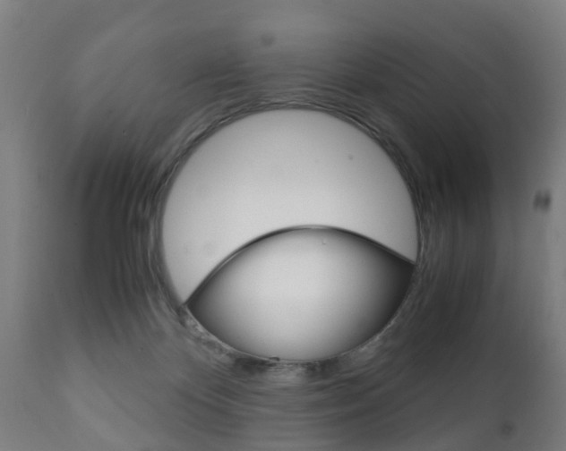 X0000111900124200907271020