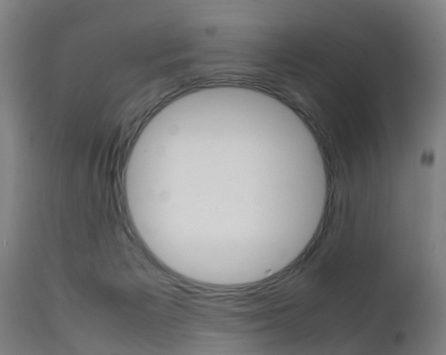 X0000111900125200907271020
