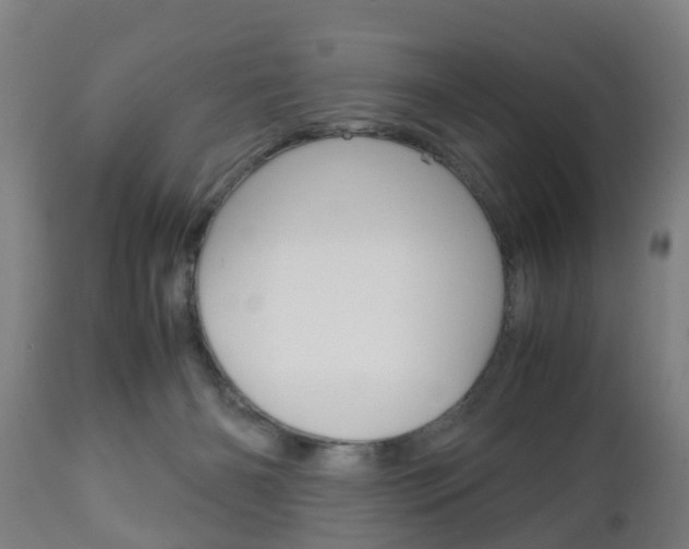X0000111900126200907271020