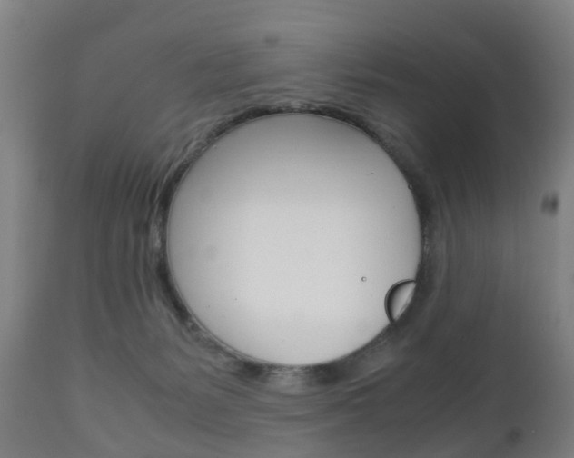 X0000111900127200907271020