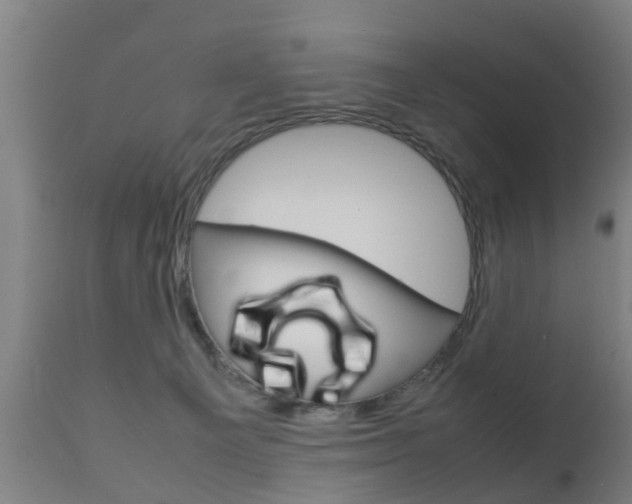 X0000111900129200907271020