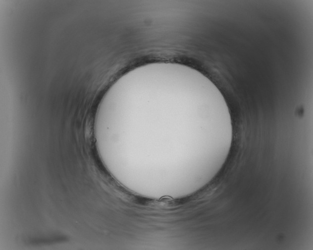 X0000111900131200907271020