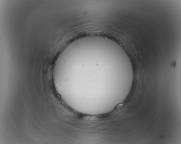 X0000111900133200907271020