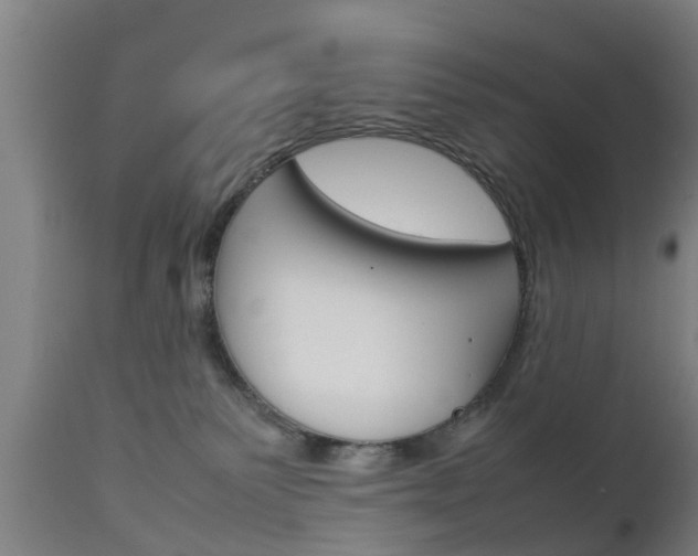 X0000111900135200907271019