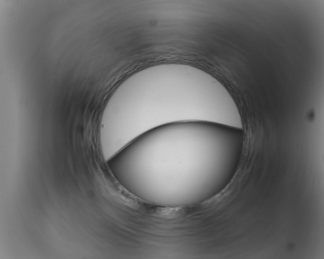 X0000111900136200907271019