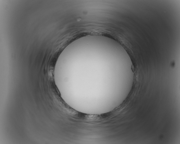 X0000111900141200907271019