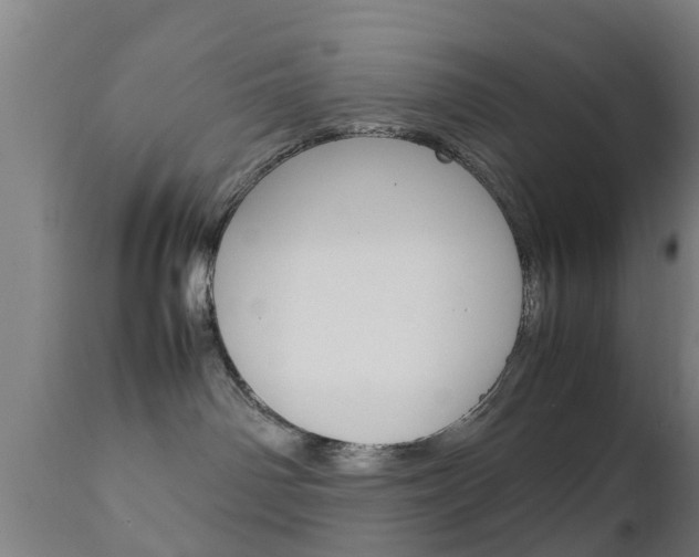 X0000111900142200907271019