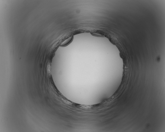X0000111900143200907271019