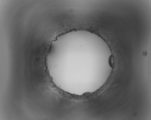 X0000111900144200907271019