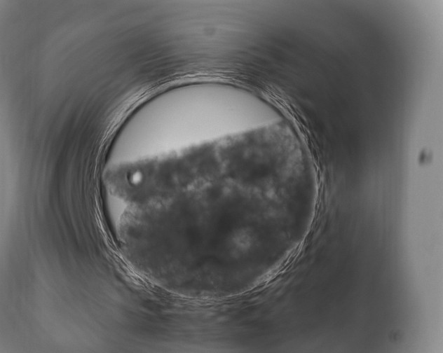 X0000111900145200907271019