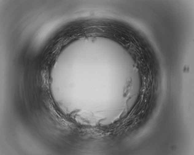X0000111900146200907271019