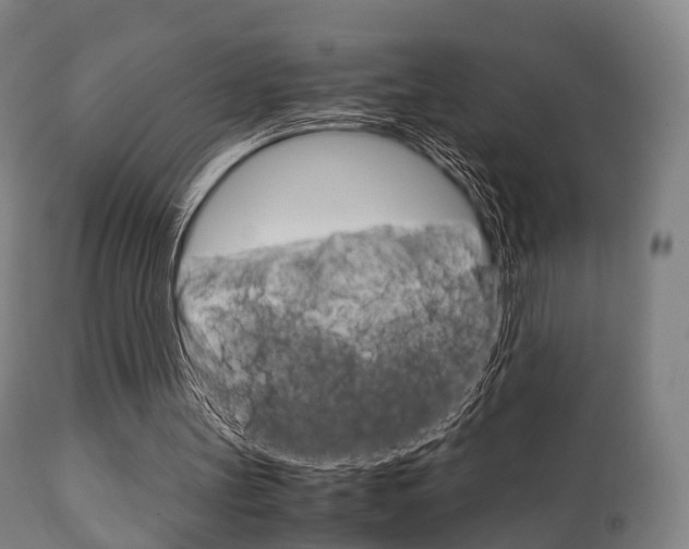 X0000111900147200907271019