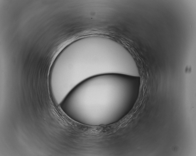 X0000111900148200907271019