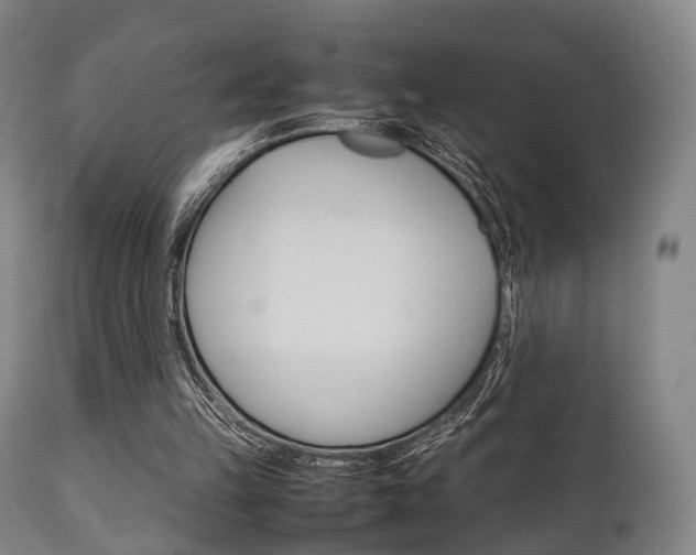X0000111900149200907271019