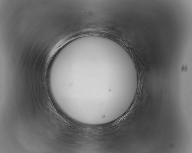 X0000111900150200907271019