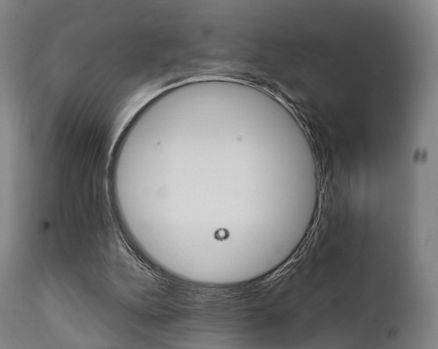 X0000111900152200907271019