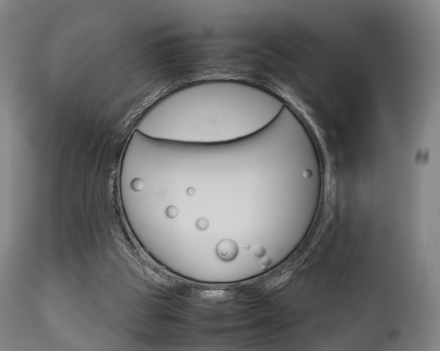 X0000111900153200907271019