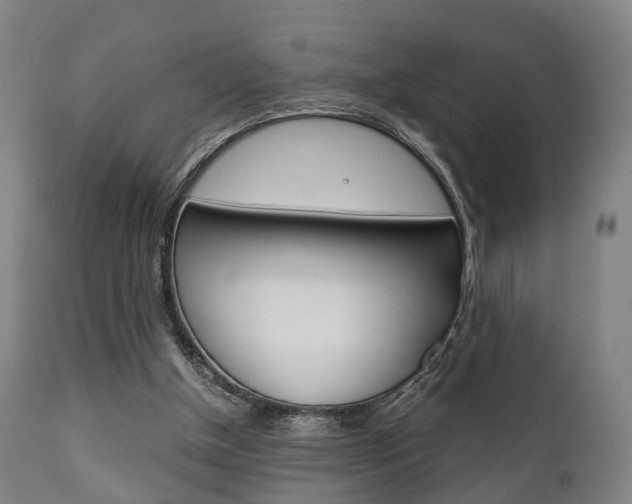 X0000111900154200907271019