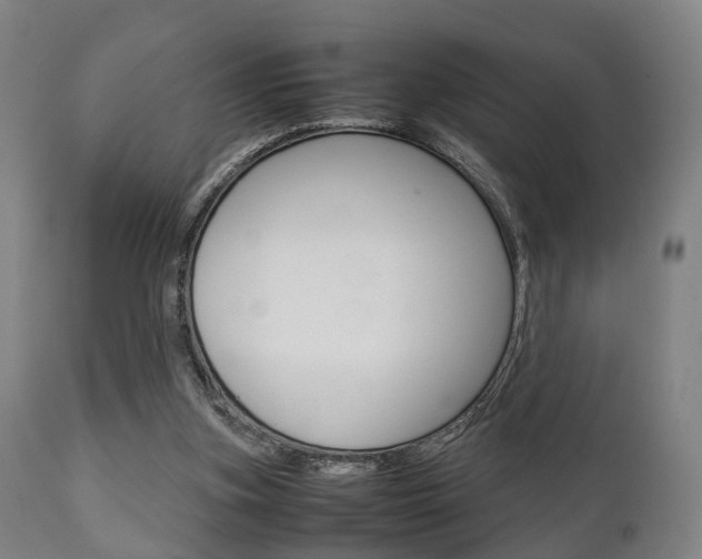 X0000111900155200907271019