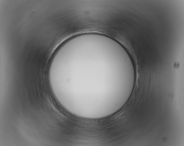 X0000111900156200907271019