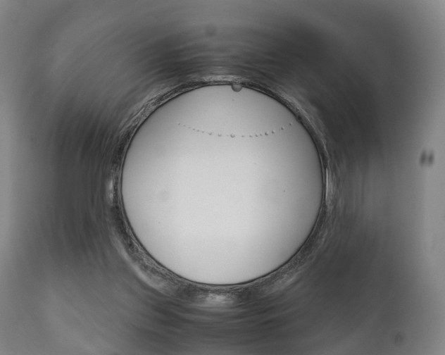 X0000111900157200907271019