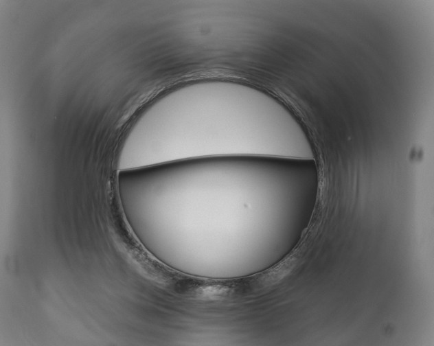 X0000111900158200907271019