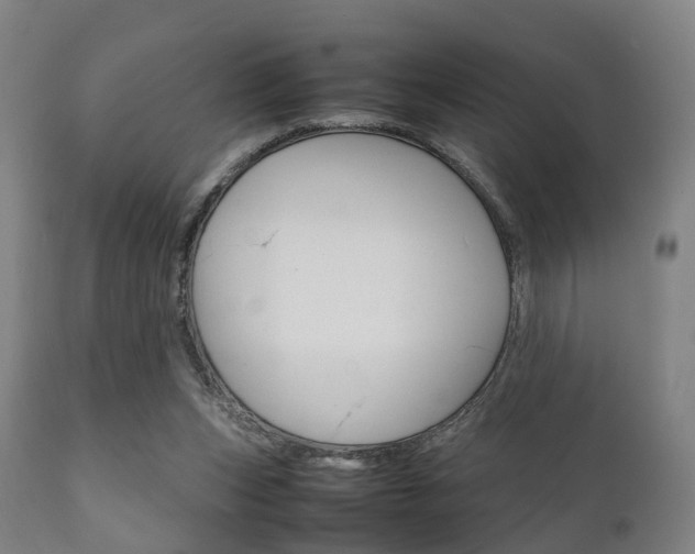 X0000111900159200907271019
