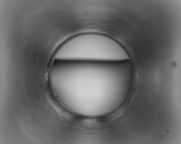 X0000111900160200907271019