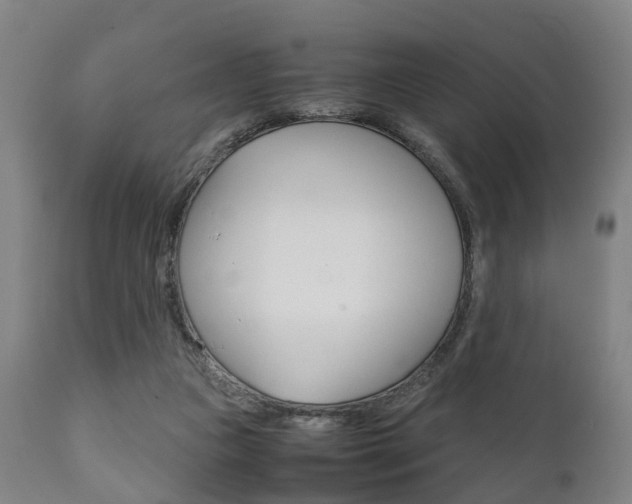 X0000111900161200907271019