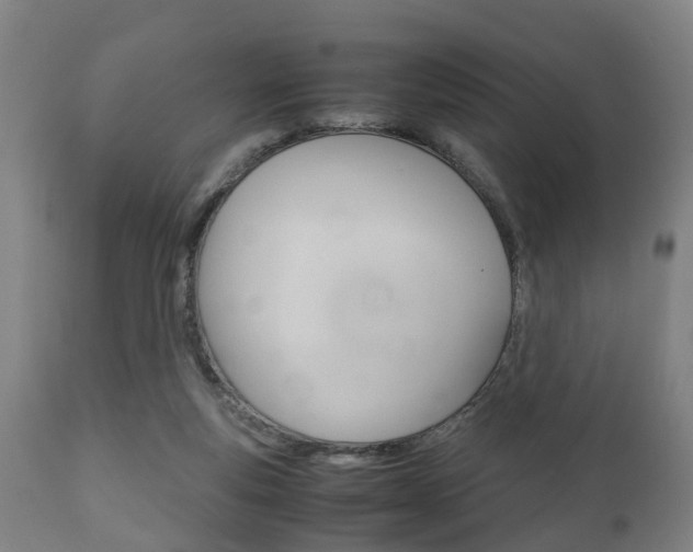 X0000111900163200907271019