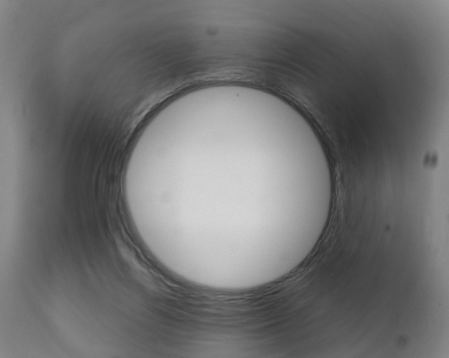 X0000111900164200907271019