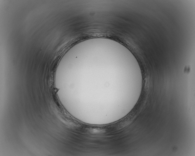 X0000111900165200907271019